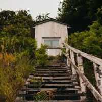 استخدام نیرو برای کار درمشاوراملاک