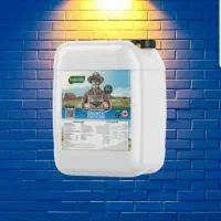 سرگرمی و فراغت|مجلات|سنندج, |دیوار