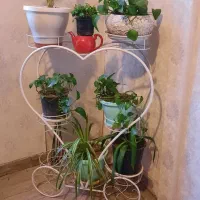 استند گل (جای گلدان) قلب