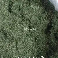 فروش محصولات خانگی|خوردنی و آشامیدنی|شیراز, گل سرخ|دیوار