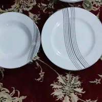 ظروف چینی طراحی فرانسه