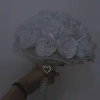 گل عروس روبانی شاین دار