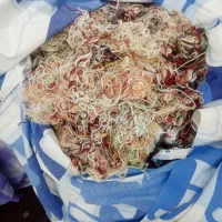 فروش کاموا خرد شده