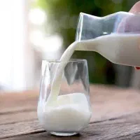 شیر گاو پرچرب و تازه