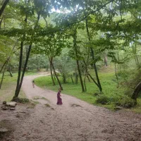 زمین مسکونی بیست دستگاه