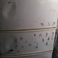 یخچال فریزر سه درب|یخچال و فریزر|اندیمشک, |دیوار