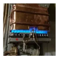 تعمیر انواع آبگرمکن ، پکیج و لوله کشی آب ساختمان|خدمات پیشه و مهارت|کرمان, |دیوار