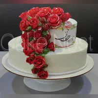 آشیانه کیک جایی برای خلق رویاهای شیرین شما|خوردنی و آشامیدنی|تهران, نیروی هوایی (پیروزی)|دیوار