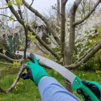 خدمات باغبانی