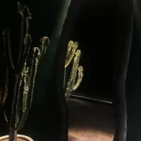 استخدام ارایشگر آقا