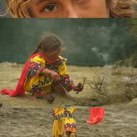 آموزش عکاسی|خدمات آموزشی|زنجان, |دیوار