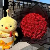 عروسک/گل/باکس/نوزادی