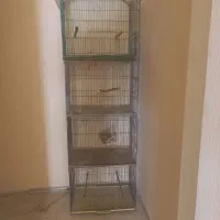 ۴تا قفس ۱۵۰۰