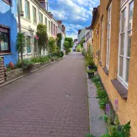 استخدام نیروی متاهل با منزل رایگان