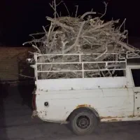 خریدارچوب پسته