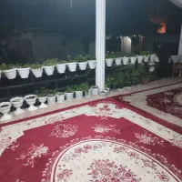 سوییت یک خوابه بزرگ نزدیک تالاب استیل|اجارهٔ کوتاهمدت آپارتمان و سوئیت|آستارا, |دیوار