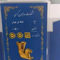 سکه5/ گرمی امین زر پلمپ