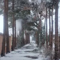 ویلا،خانه ویلایی باغبادران،باغبهادران،باغ بهادران