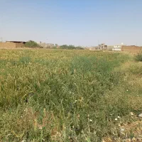 فروش-زمین-زارچ-خیابان-پاسداران