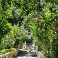 استخدام نیرو در رستوران و تالار