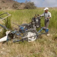 دروگر ایتالیای اصل