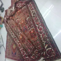 فرش|فرش|پردیس, فاز ۳|دیوار