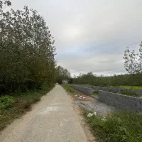 250 متر باغات داخل طرح/بر آسفالت/امتیازات سر پلاک