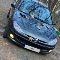 206 تیپ ۲فرانسه