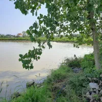 استخر-پرورش-ماهی