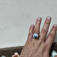 انگشتر شجر قاعن طبیعی درجه یک