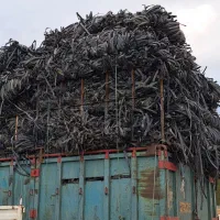 خرید ضایعات نوار تیپ|خدمات باغبانی و درختکاری|محلات, |دیوار