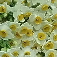 بکار گیری نیرو خانم در فروشگاه موادغذایی