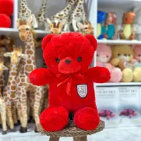 عروسک پولیشی اورجینال وارداتی|اسباببازی|اسلامآباد غرب, |دیوار