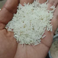 برنج فجر|خوردنی و آشامیدنی|گرگان, |دیوار