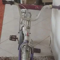 دوچرخه|دوچرخه، اسکیت، اسکوتر|گلبهار, شهر جدید گلبهار|دیوار