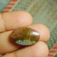 تراش شجر منظره