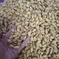 پسته احمداقایی