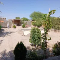 باغ فول امکانات فروشی متری ۳.۵۰۰ شکار