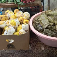 برگ مو درجه یک ارومیه