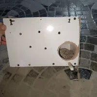 لانه عروس هلندی|لوازم جانبی حیوانات|ایلام, |دیوار