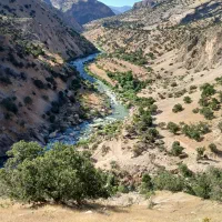 سیم کارت روند بدونه استفاده