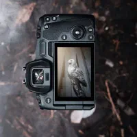 عکاس سیار آمل