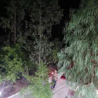 باغ سند دار ملکی|فروش زمین و ملک کلنگی|طسوج, |دیوار