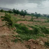باغ-جاده-سد-سمت-راست-نرسید-ب-پل