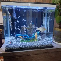 اکواریوم k500