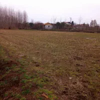 زمین-کشاورزی-تسیع-نشده-چسبیده-ب-بافت