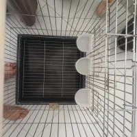 قفس استیل ضخیم  ضد زنگ و درجه یک خارجی کد ۱۰۳۳|لوازم جانبی حیوانات|پردیس, فاز ۱|دیوار