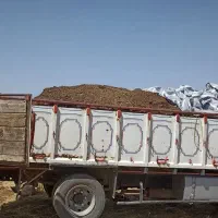 کود گوسفندی وگاوی|خدمات باغبانی و درختکاری|شاهیوند, |دیوار