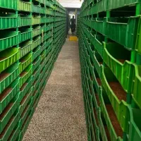 باکس سبد پرورش میلورم