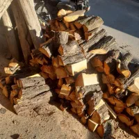 برش درخت و نخل جم